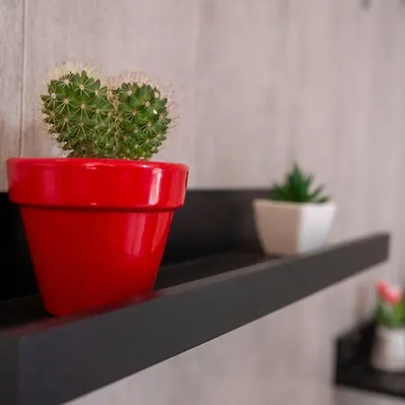 Casa 8 Canos Apartment Ronda