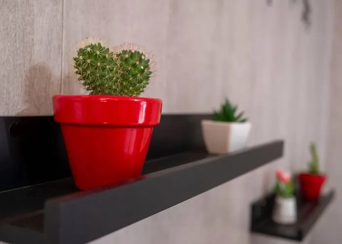 Casa 8 Canos Apartman Ronda